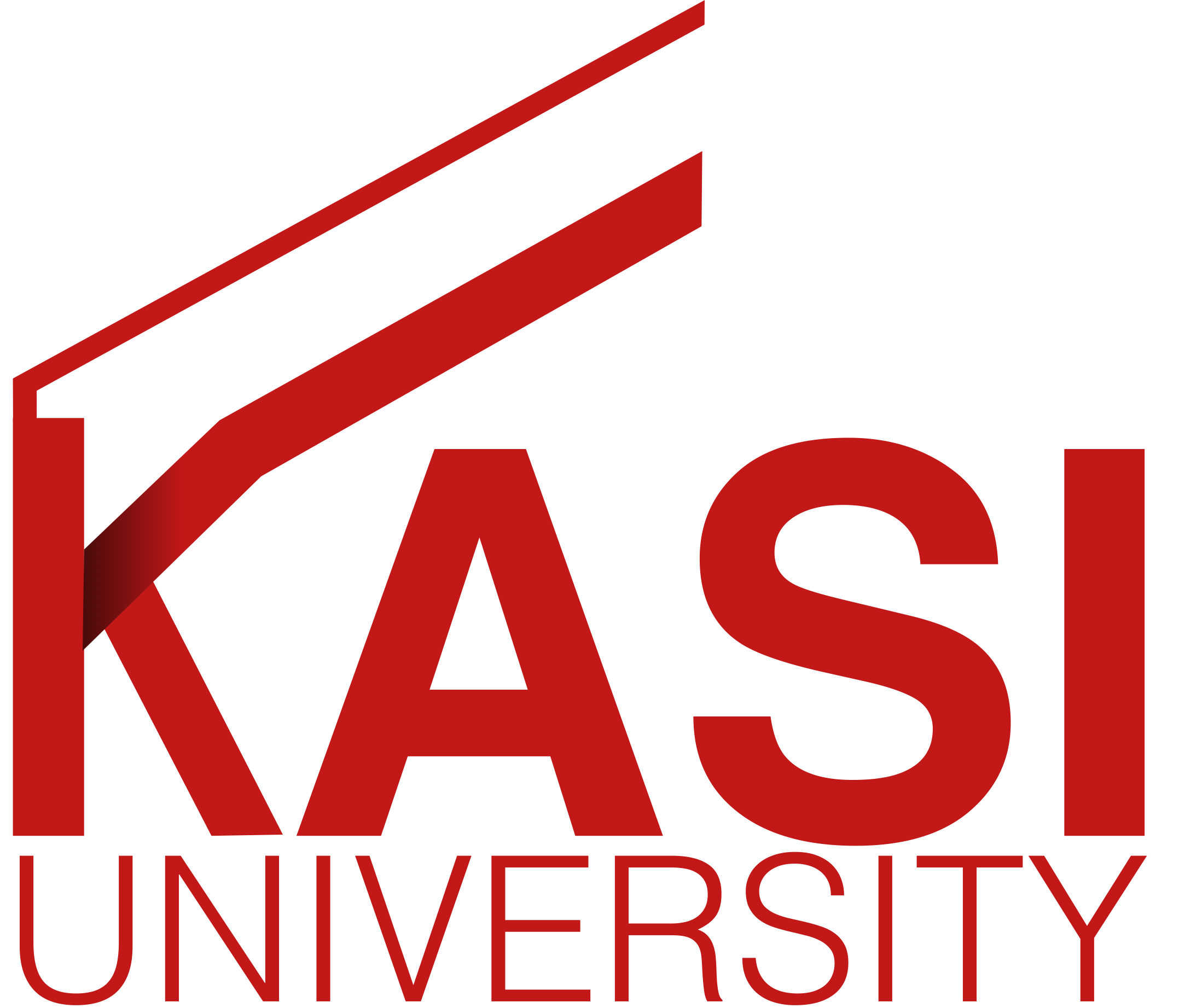 Kasi University logo